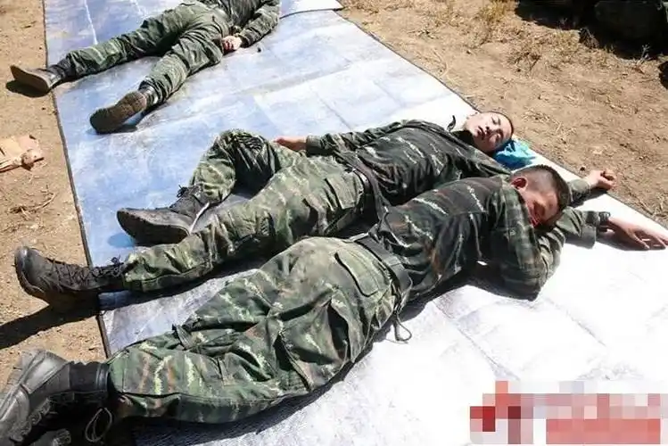 军人都是怎么休息的?一组照片告诉你,辛苦只有当过兵的才知道