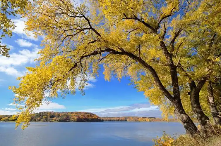 阳光明媚的湖边