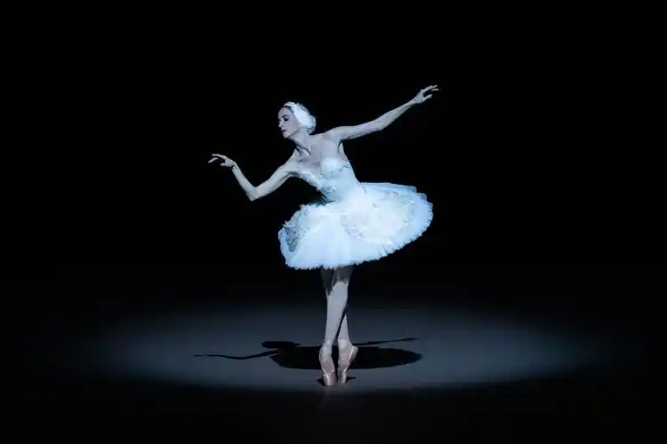 《芭蕾荟萃·莫斯科大剧院芭蕾之最》演出剧照