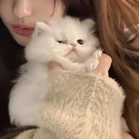 女孩抱猫咪头像图片