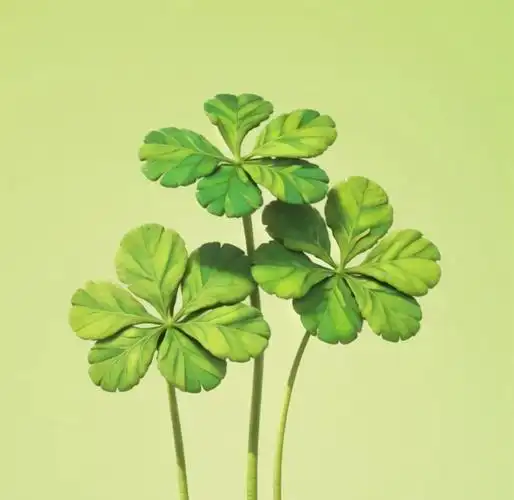 无论是微信,qq还是其他社交平台,这些头像都能为