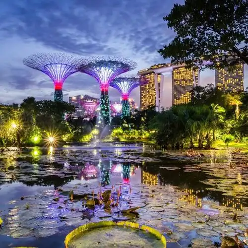 新加坡国家战略,颜值即正义!|马来西亚|机场|李光耀|樟宜_网易订阅