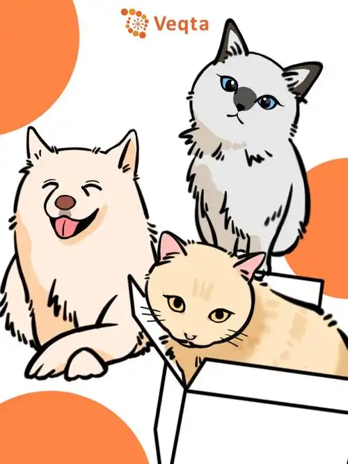 无偿画猫狗第一期家长们请火速看过来