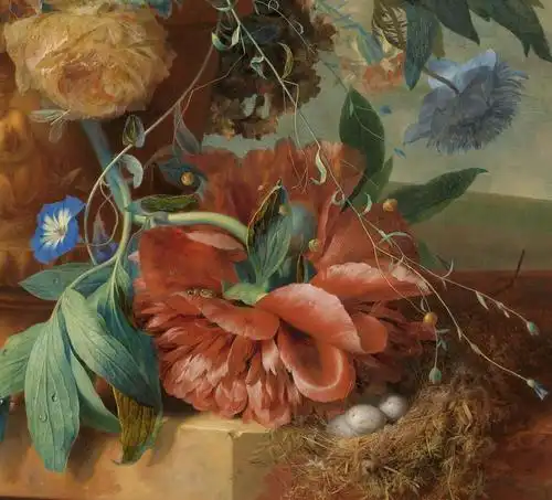 【植物插画】这些大热的ins风绿植,我帮你整理好了素材模板