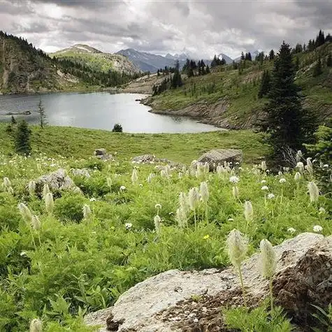 哀伤秋季风景头像 凄美风景图片头像 唯美(图4)