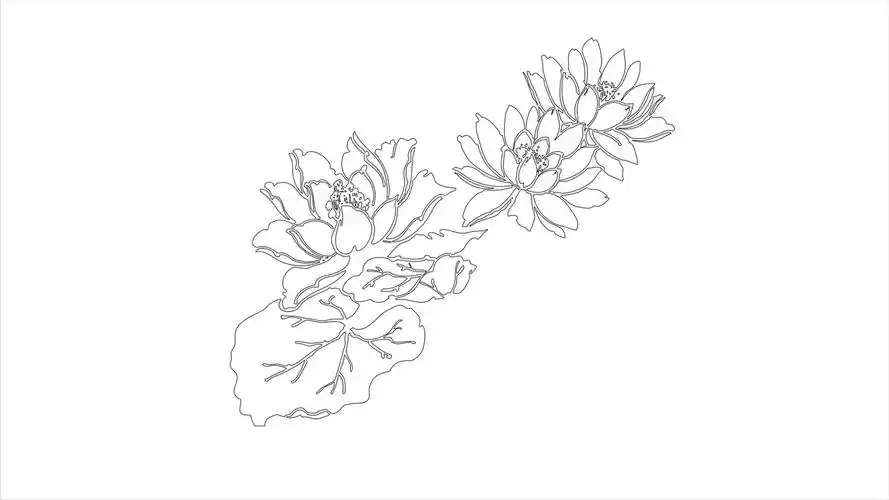 睡莲怎么画窍门