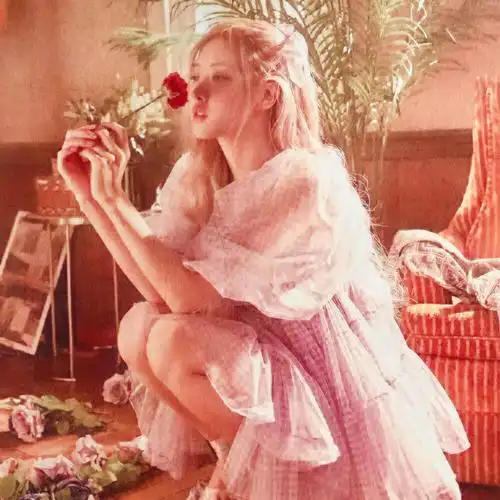 rose朴彩英赞评论更多