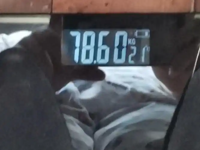 初始体重:79.8kg(2022年5月11日)当前体重:78.