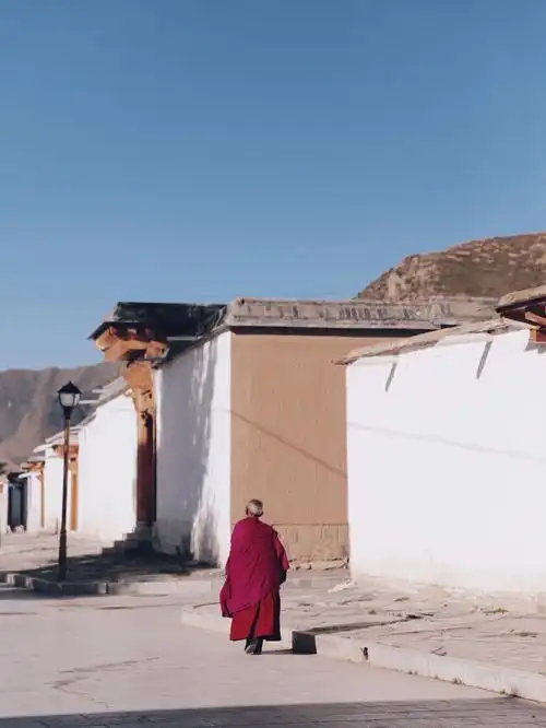 世界藏学府|世界最长转经筒|天下无贼拍摄地|规模仅次于布达拉宫看到
