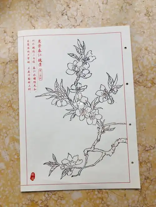白描练习  #花卉白描  #工笔白描  #飞乐鸟