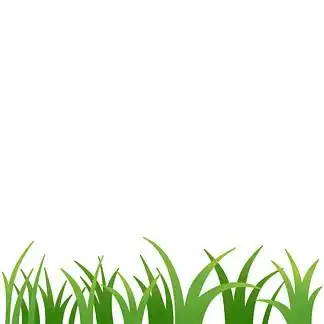 春季绿色小草小花png素材11543145雨珠绿草31482630卡通绿草png
