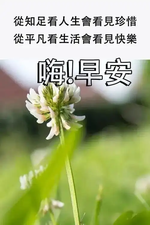 秋季问候大家早上好的漂亮祝福图片,最美早上好问候语图片_朋友