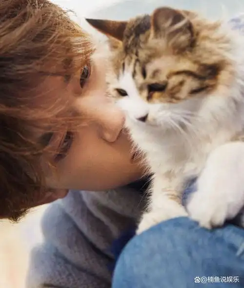 易烊千玺晒新年写真,穿蓝色毛衣抱着猫咪,治愈系男孩好帅!-男明星网