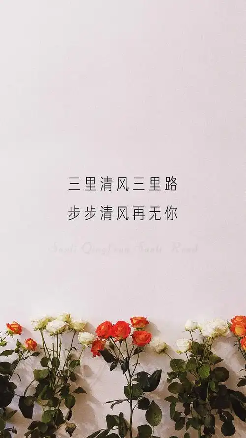 小清新创意文字图片手机壁纸