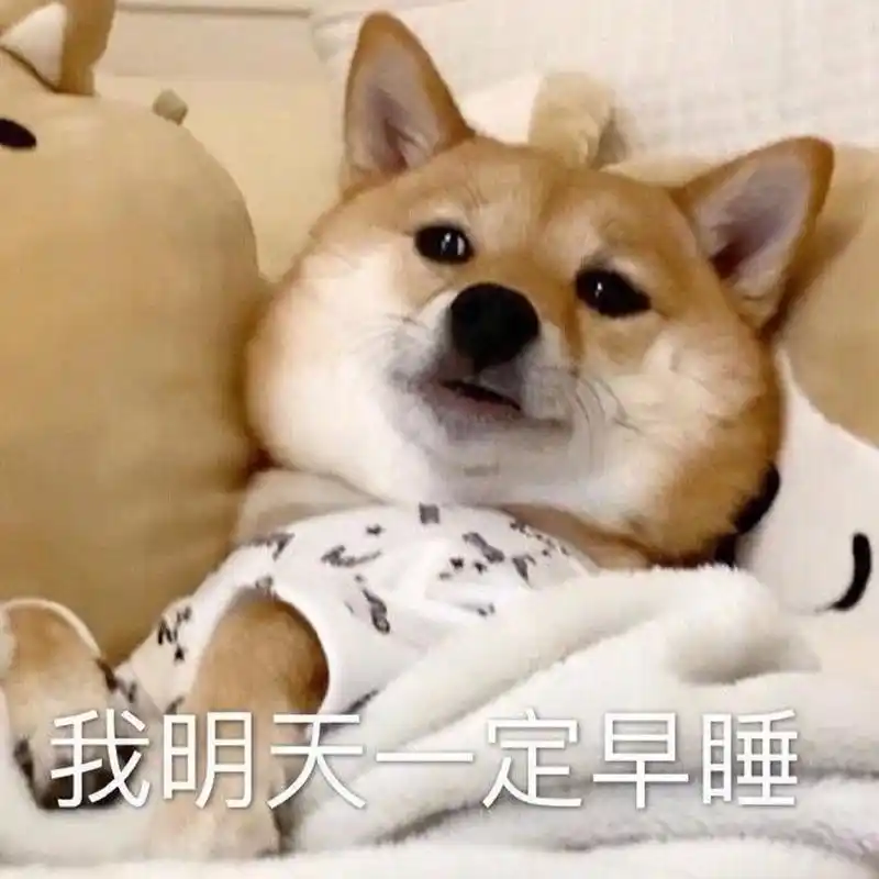 熬夜表情包合集 真的会有人 等一个人 一年又一年吗