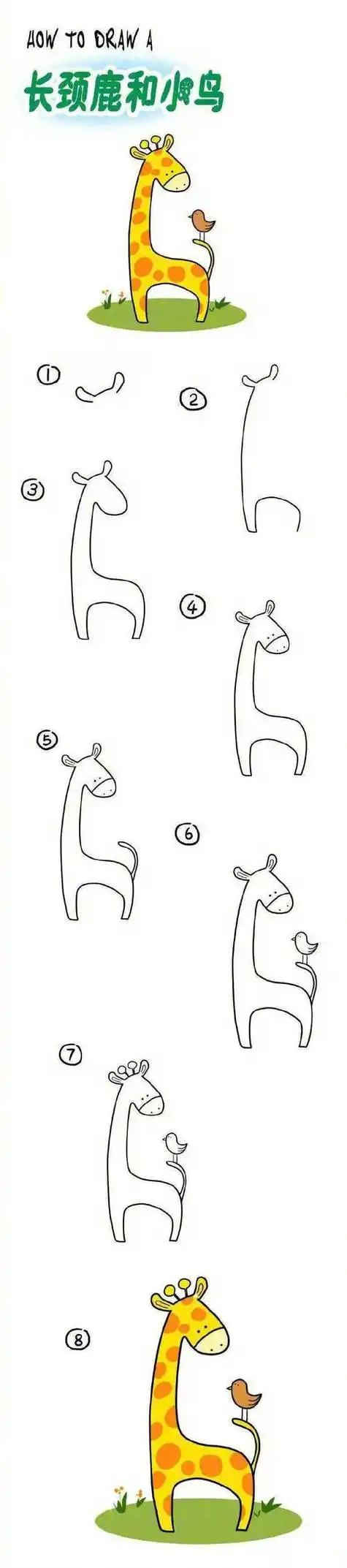 画小动物简笔画步骤图解