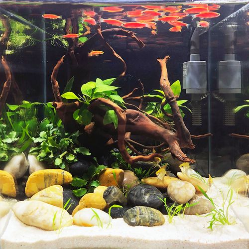 鱼缸鹅卵石天然石头摆件雨花石原石鱼缸造景