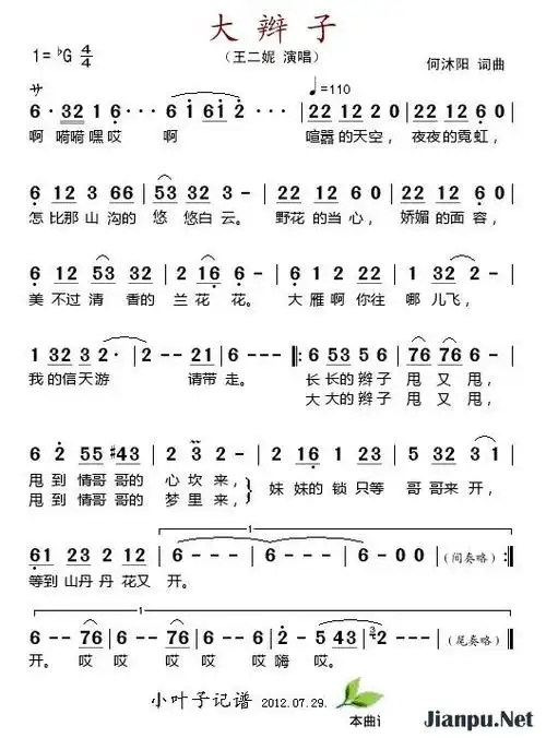 《大辫子》简谱王二妮原唱 歌谱-钢琴谱吉他谱|www.jianpu.