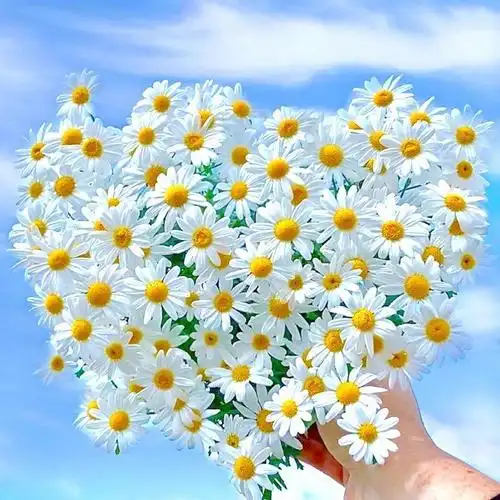 我的日记本,我的树洞 希望自己能放心书写,看到的你可以拥有好心情