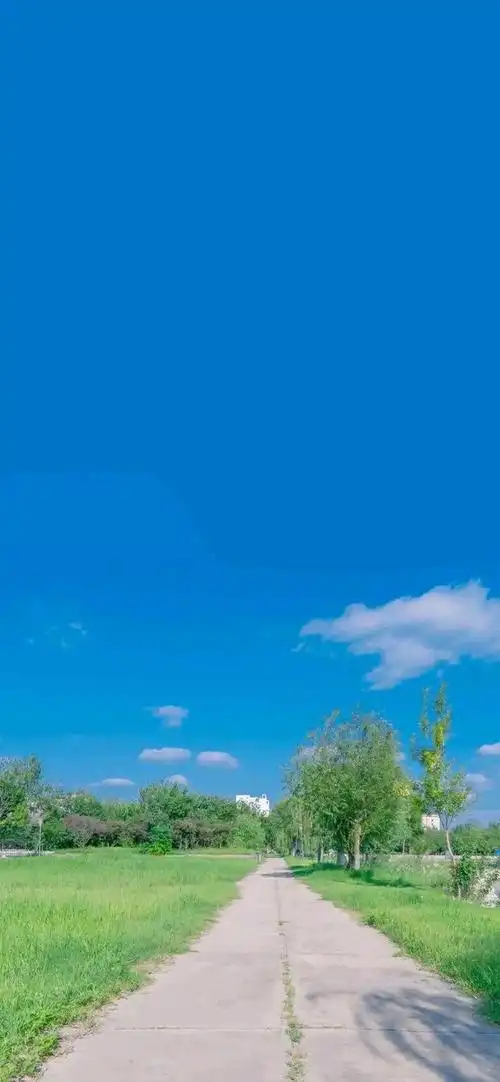 全面屏高清手机壁纸