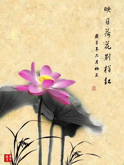 映日荷花别样红