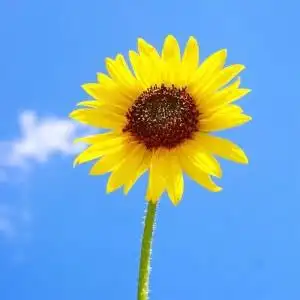 2022正能量图片头像