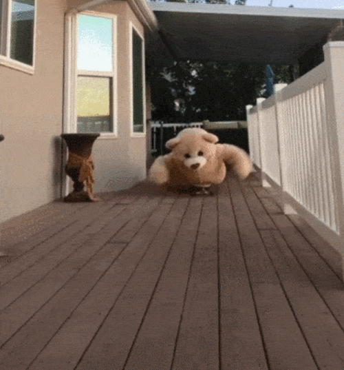 扭屁屁小熊表情包爆火抖音900万点赞真人居然是ta