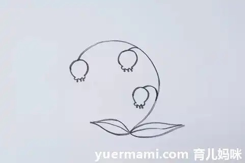 金铃花的简笔画步骤