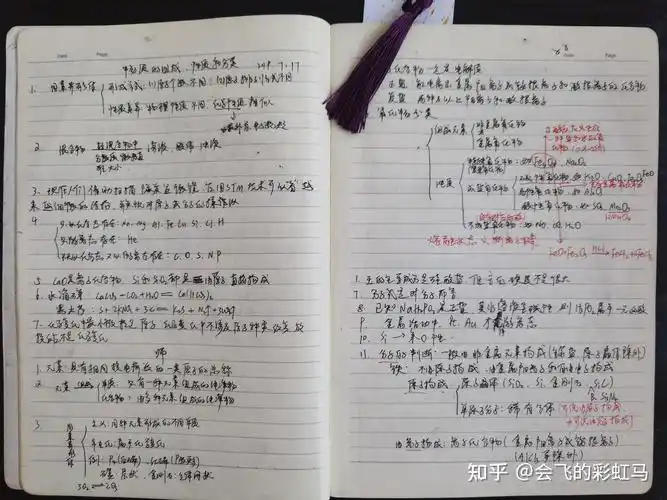 本人小升初学生想问问一些学长们初中的课堂笔记是记书上好呢还是用一