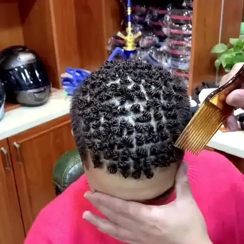 怎么有这么奇怪的发型?看着有点像钢丝球,估计苍蝇进去都迷路