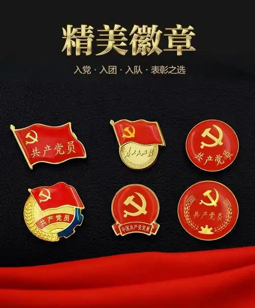 党徽标准型磁铁式别针大号胸针党员胸章徽章为人民服务磁扣蝴蝶扣 半