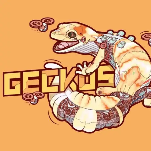 饲养面面的一些小知识-守宫星球出品