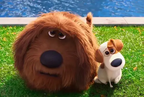 爱宠大机密 - 堆糖,美图壁纸兴趣社区