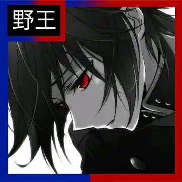 王者荣耀带字头像图片职业法王辅助辅王头像图片