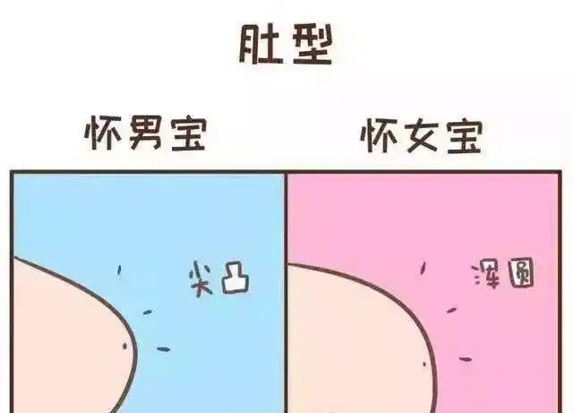 怀女宝和怀男宝的差别这些小细节妈妈知道吗