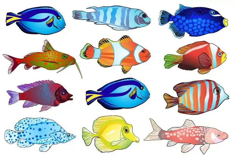 海洋鱼类漫画