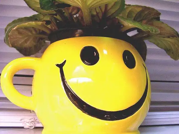 32张让你高兴的笑脸照片分享