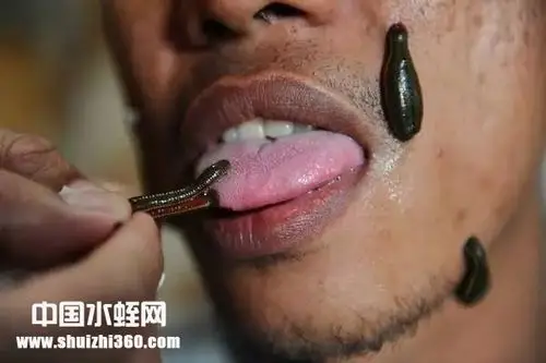 蚂蟥疗法在体外治病上有哪些应用