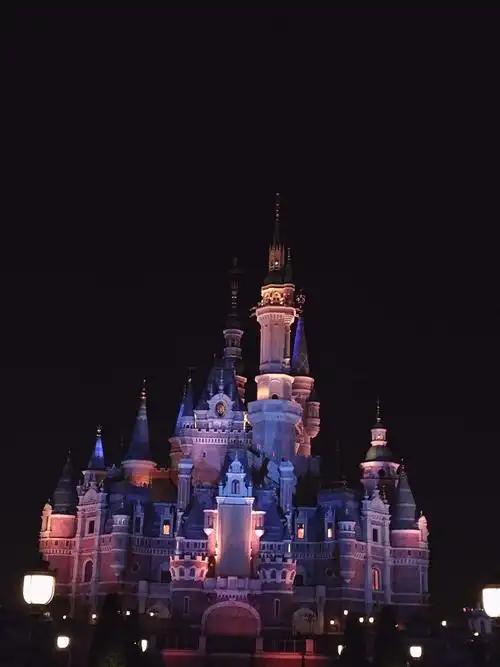 上海迪士尼,夜晚的城堡