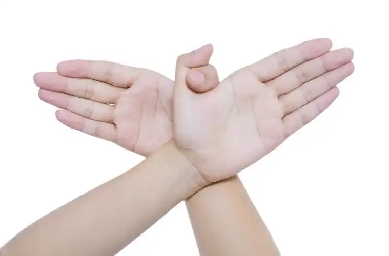 白底手势人物手势双手手势组合双手交叉