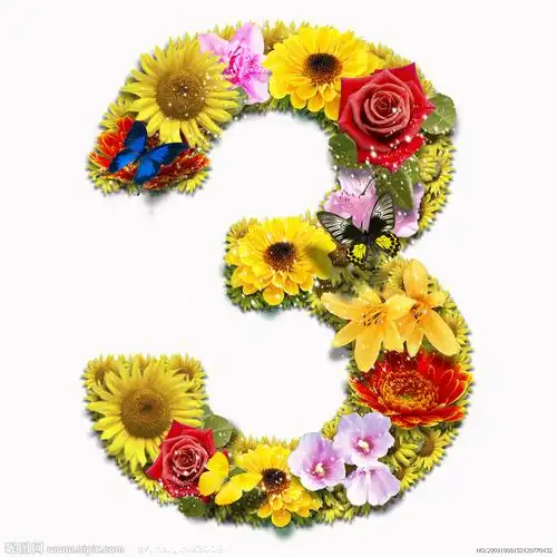 psd花朵合成数字3