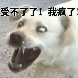 受不了了我疯了
