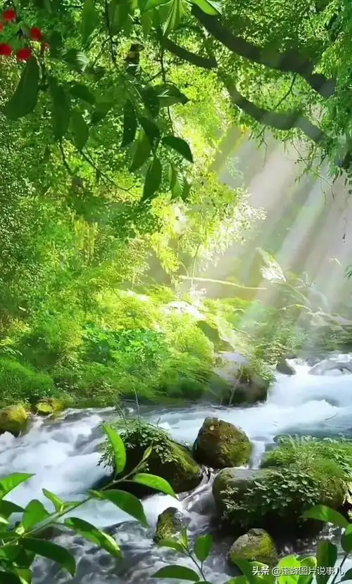 壁纸美图,大自然美景,如诗如画