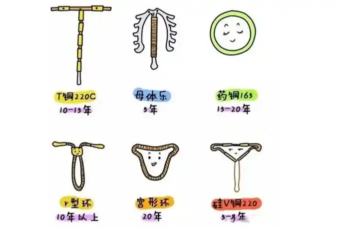 环的形状图片有几种,哪一种对身体伤害小一点?择适而选