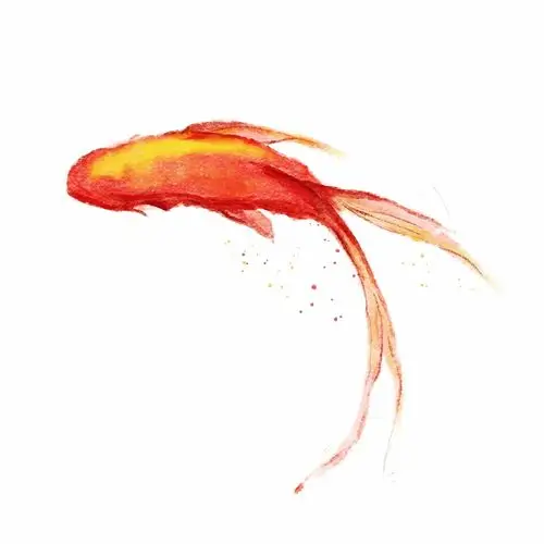 手绘锦鲤