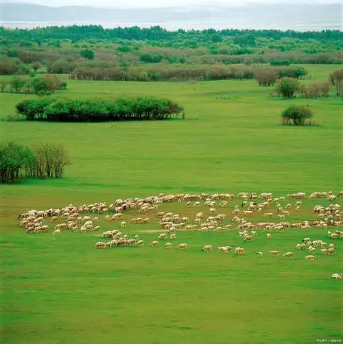 新疆最美的12个大草原,美得让人心醉,不需要滤镜,张张都是大片