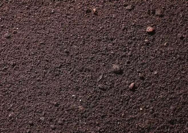 土壤土壤表面土壤剖面土壤截面土壤贴图土