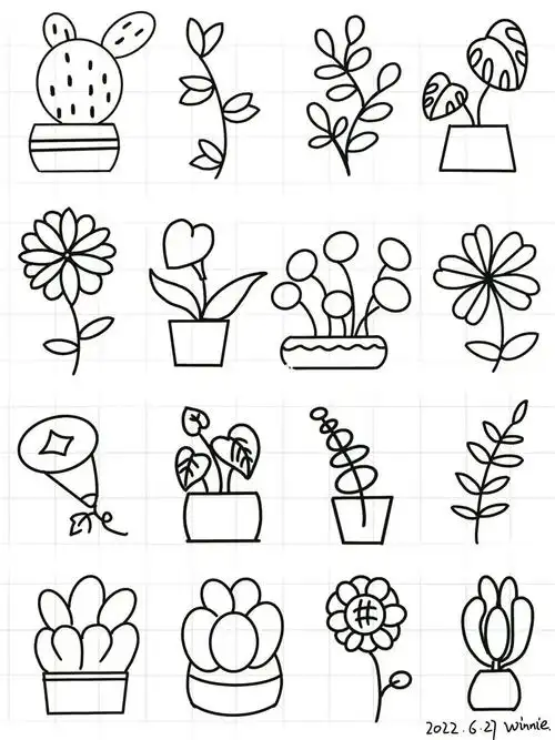 画画214ipad手绘基础线稿植物简笔