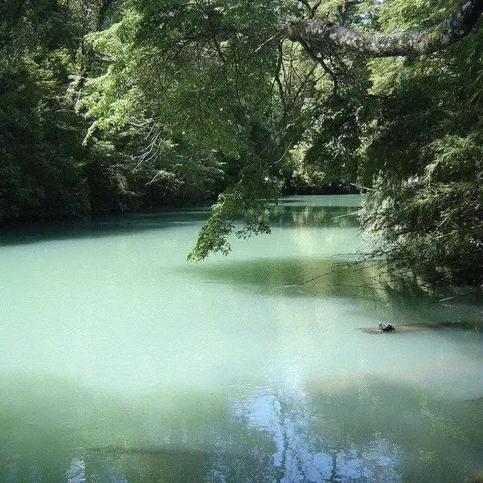 非常好看的朋友圈背景图