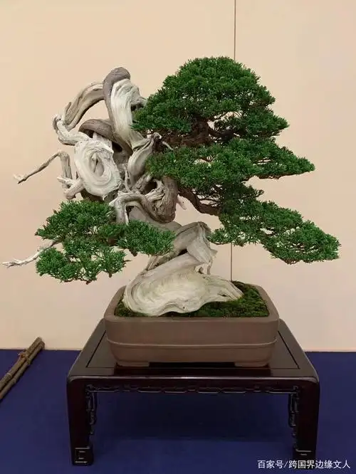 2020年日本国风展作品赏析